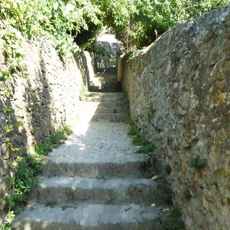 Gite De La Cite Villa Carcassone Kültér fotó